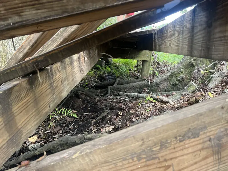 Before: damaged framing under the boardwalk