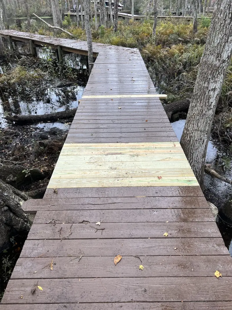 Repaired boardwalk with new decking